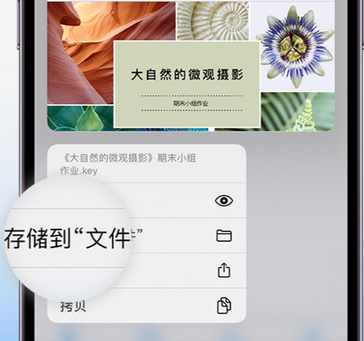 濠江apple维修中心分享iPhone文件应用中存储和找到下载文件