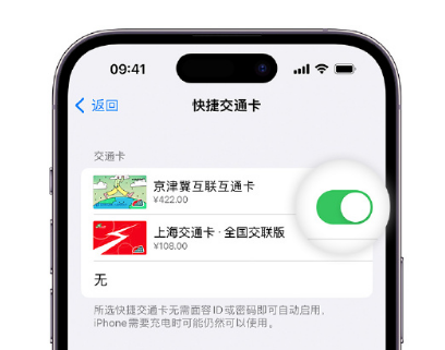 濠江apple维修点分享iPhone上更换Apple Pay快捷交通卡手绘卡面 