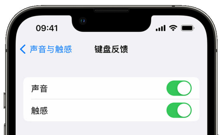 濠江苹果手机维修分享iPhone 14触感键盘使用方法 