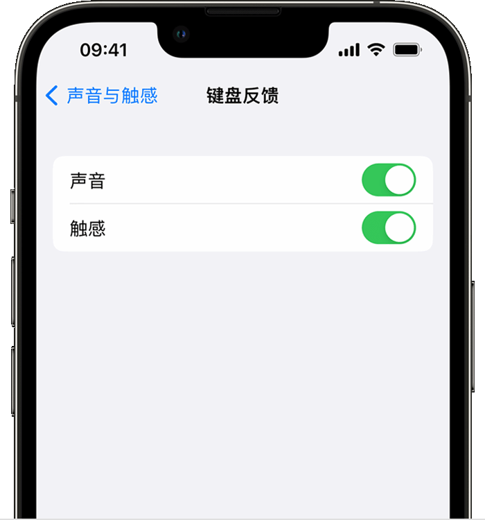 濠江苹果14维修店分享如何在 iPhone 14 机型中使用触感键盘 