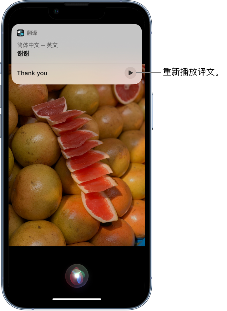 濠江苹果14维修分享 iPhone 14 机型中使用 Siri：了解 Siri 能帮你做什么 