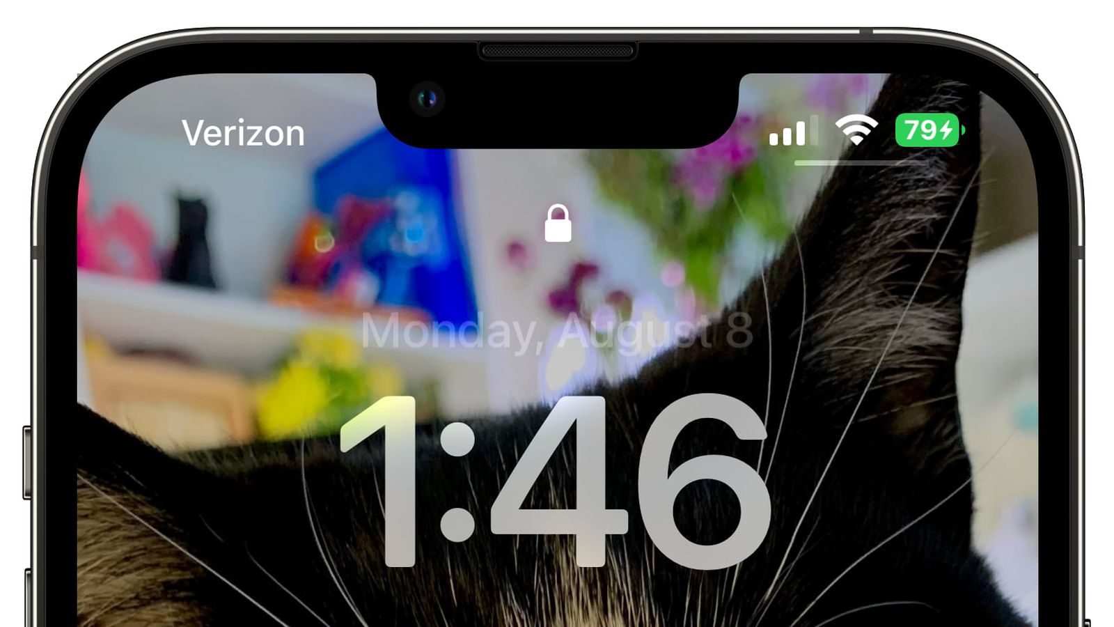 濠江苹果手机维修分享iOS 16 beta 5 支持状态栏显示电池百分比，如何开启？支持哪些机型 