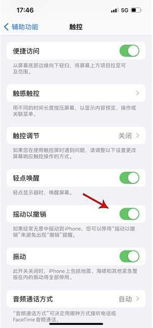 濠江苹果手机维修分享iPhone手机如何设置摇一摇删除文字 