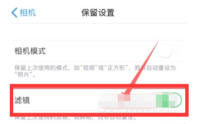 濠江苹果13维修分享iPhone13拍照有绿点是怎么回事 