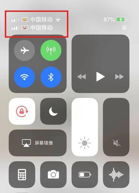 濠江苹果手机维修分享为 iPhone 12 双卡设置标签 